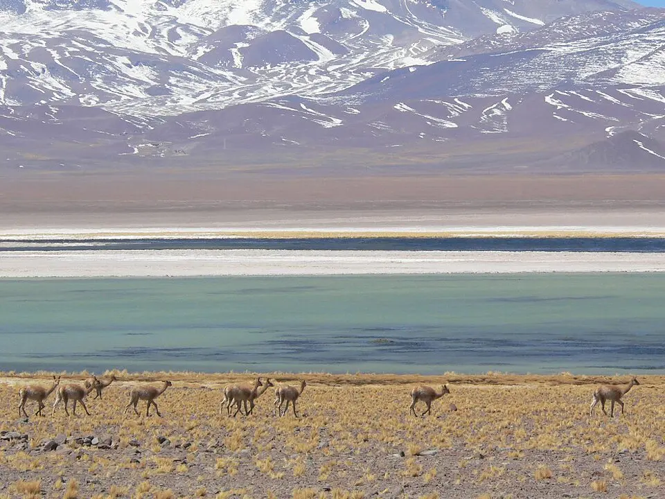 Nevado Tres Cruces National Park
