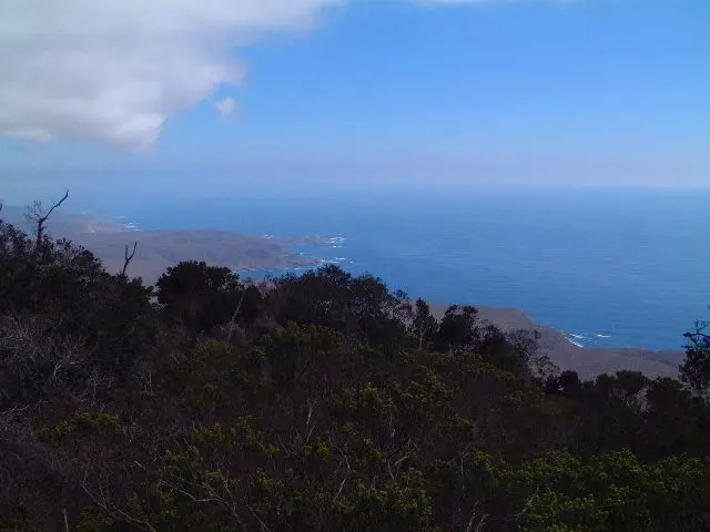 Bosque Fray Jorge National Park
