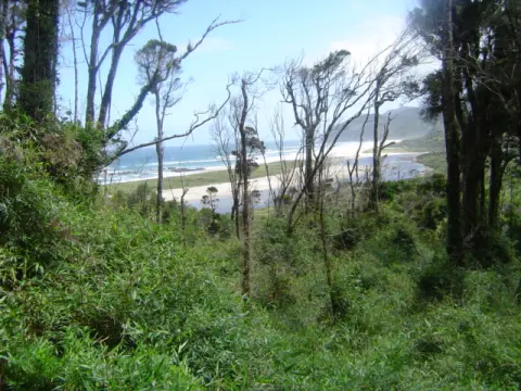 Chiloé National Park