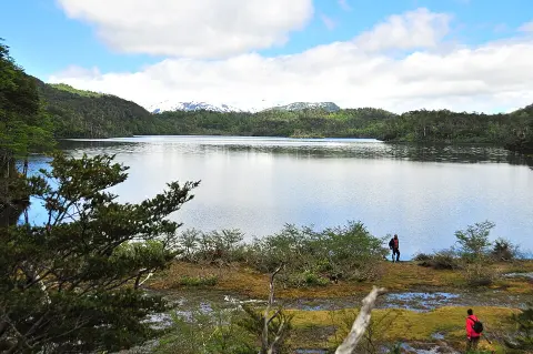 Queulat National Park