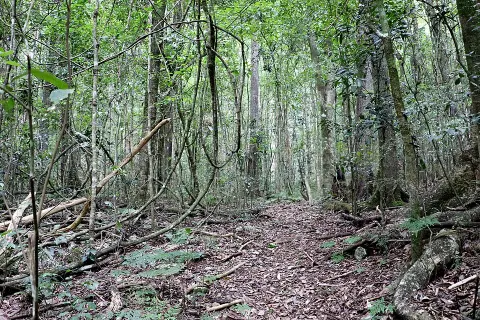 Woko National Park
