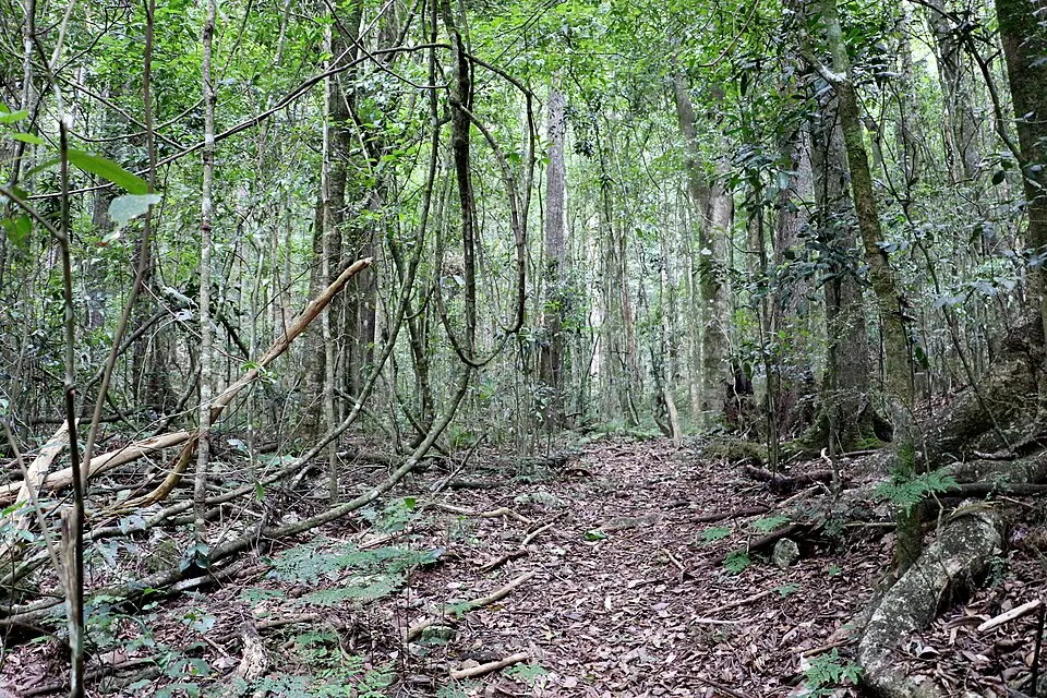 Woko National Park