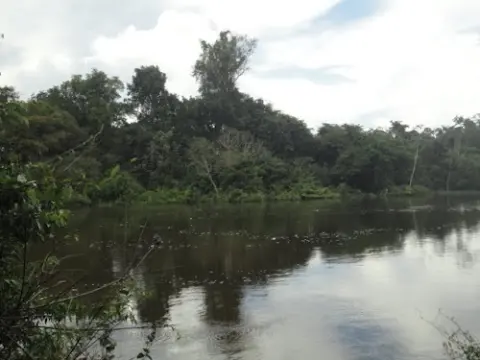 Jamanxim National Park