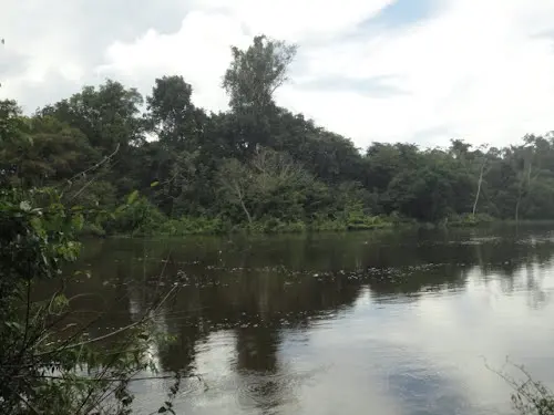Jamanxim National Park