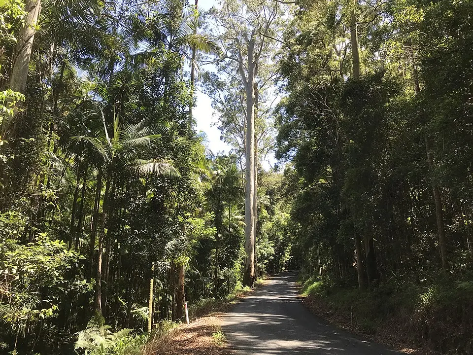 Ulidarra National Park