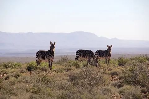 Karoo National Park