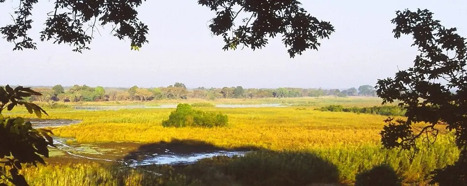 Kasanka National Park