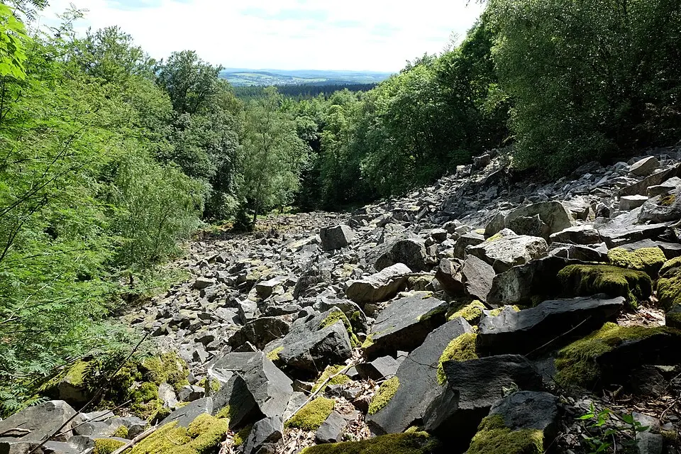 Hunsrück-Hochwald National Park
