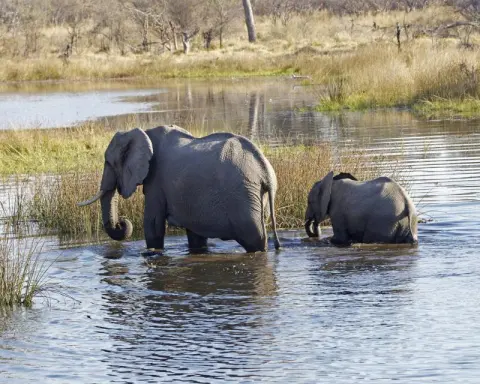 Makgadikgadi Pans National Park