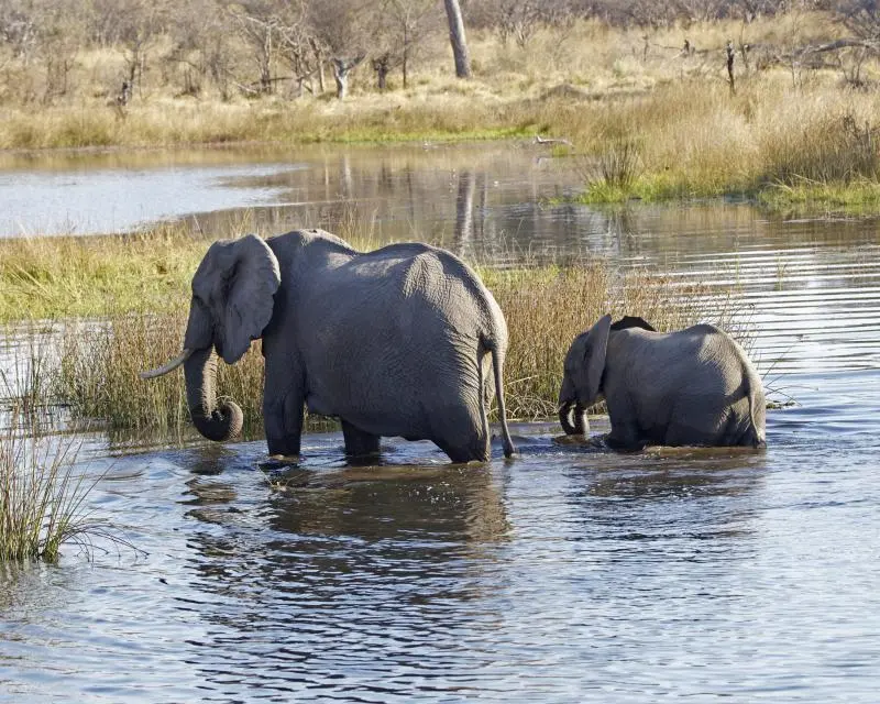 Makgadikgadi Pans National Park