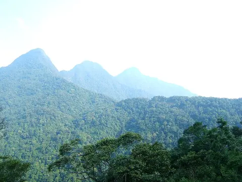 Tam Dao National Park
