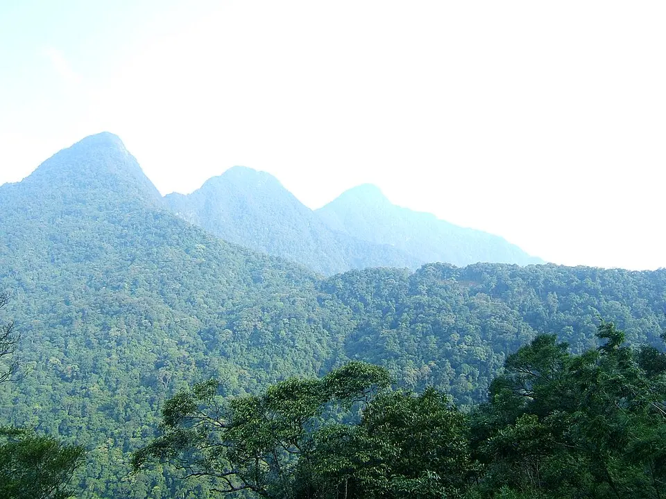 Tam Dao National Park