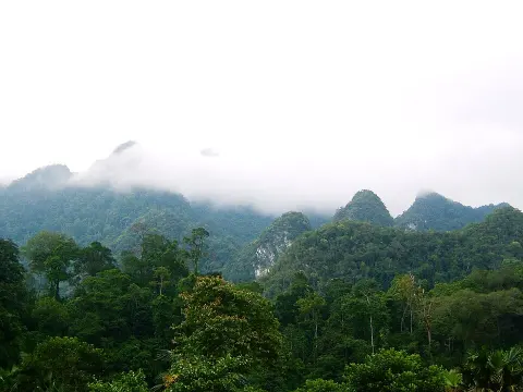 Xuan Son National Park