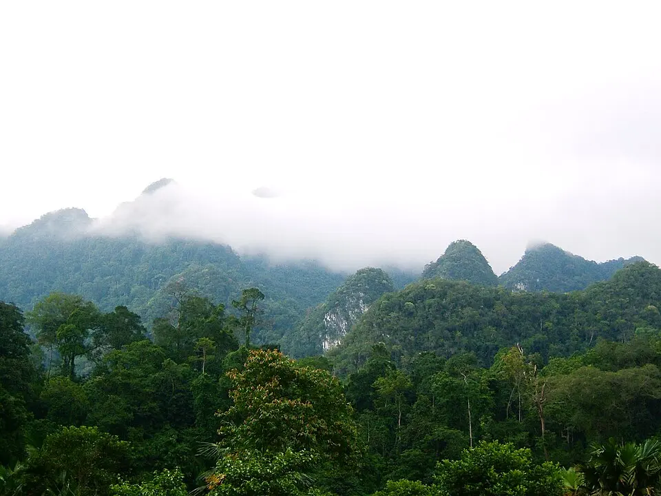 Xuan Son National Park