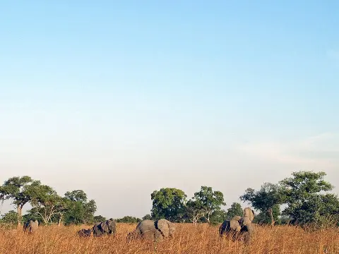 Waza National Park