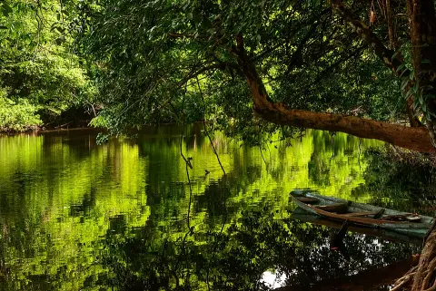 Cabo Orange National Park