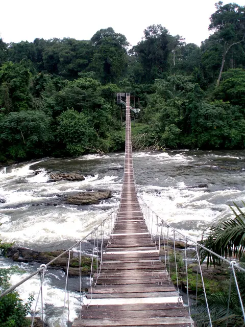 Korup National Park