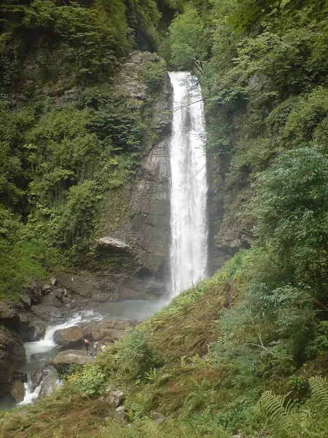 Lagodekhi Protected Areas