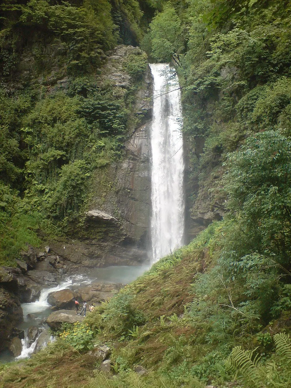 Lagodekhi Protected Areas