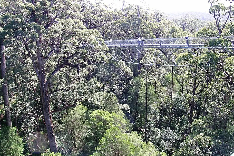 Walpole-Nornalup National Park