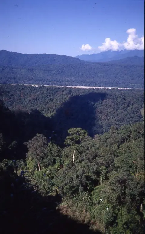 Namdapha National Park