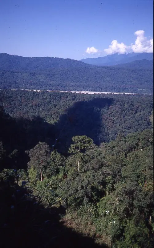 Namdapha National Park