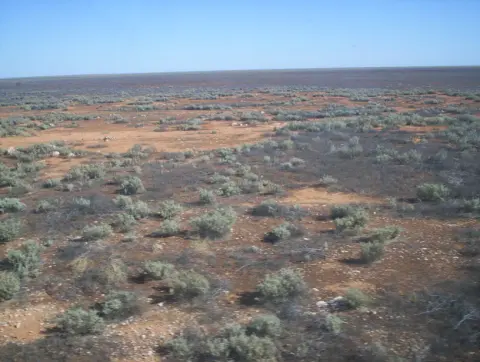 Nullarbor National Park