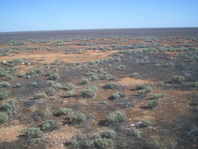 Nullarbor National Park