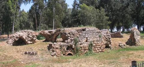 Yarkon national park