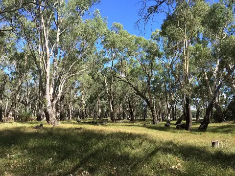 Murrumbidgee Valley National Park