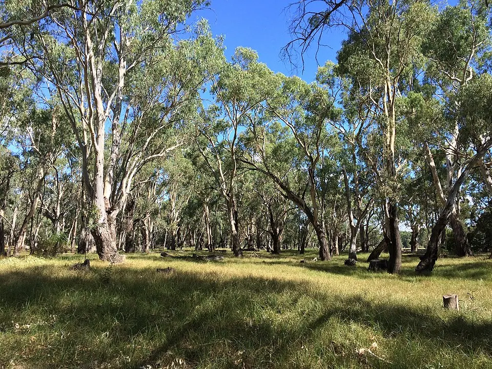 Murrumbidgee Valley National Park