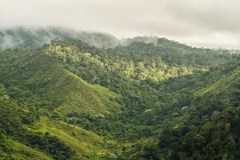 Alto Cariri National Park