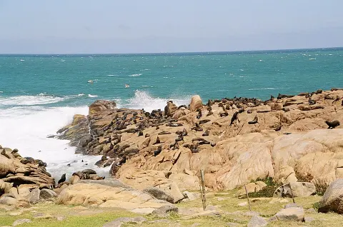 Parque nacional Cabo Polonio