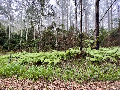 Mapleton National Park