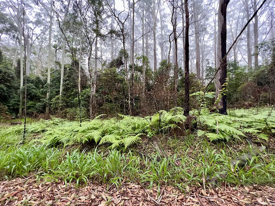 Mapleton National Park