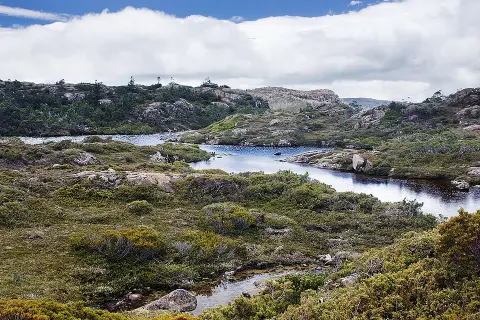 Mount Field National Park
