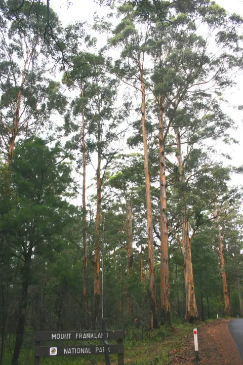 Mount Frankland National Park