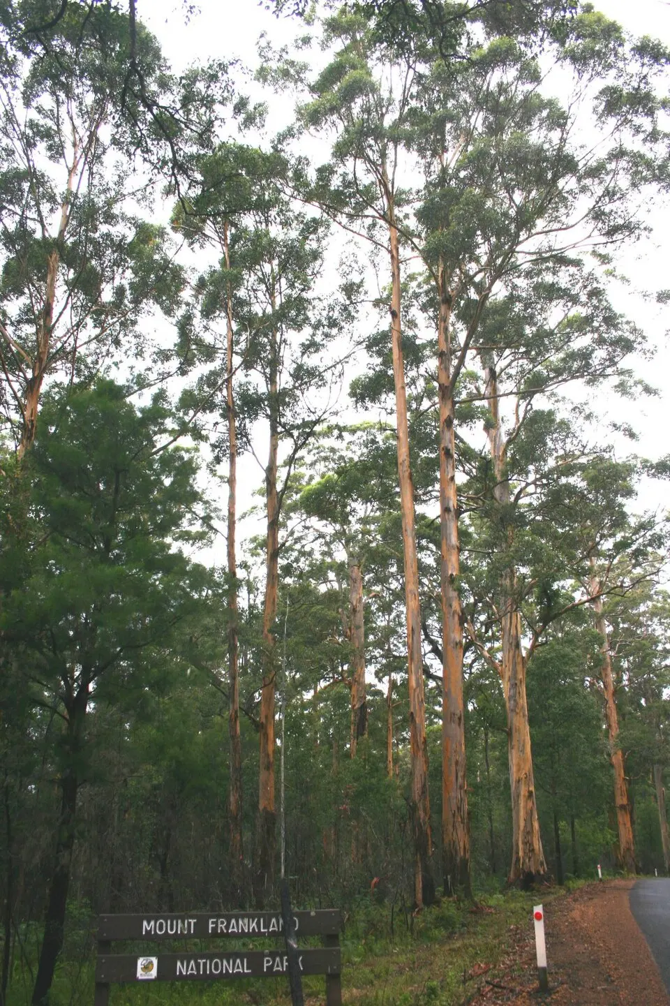 Mount Frankland National Park