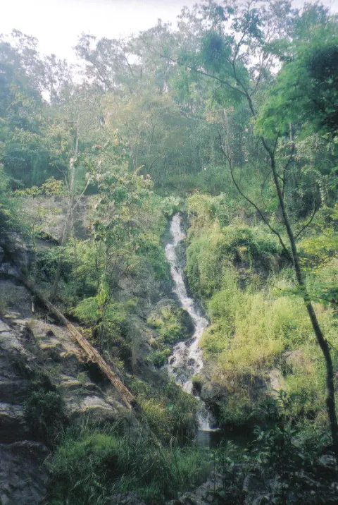 Khlong Wang Chao National Park