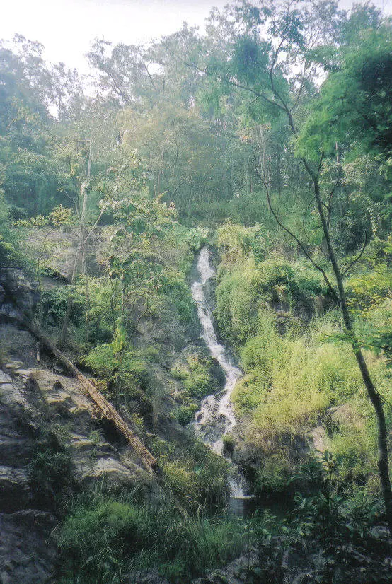 Khlong Wang Chao National Park
