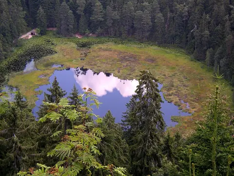 Black Forest National Park