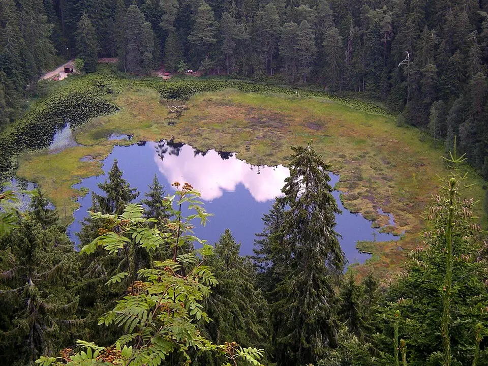 Black Forest National Park