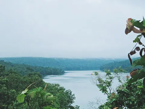 Phu Pha Yon National Park