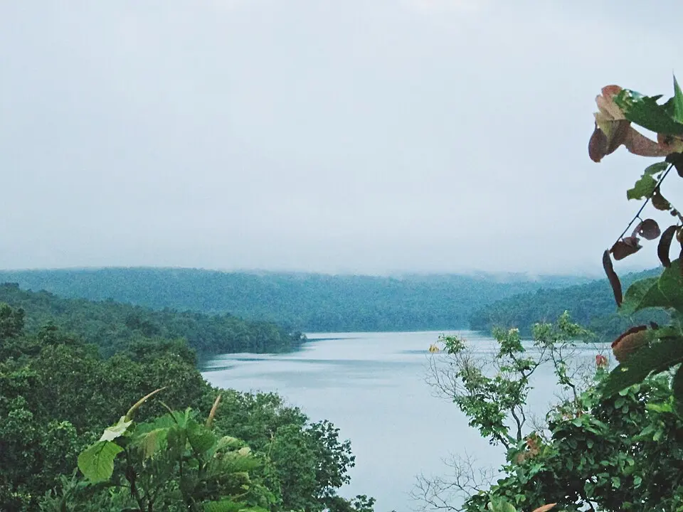Phu Pha Yon National Park