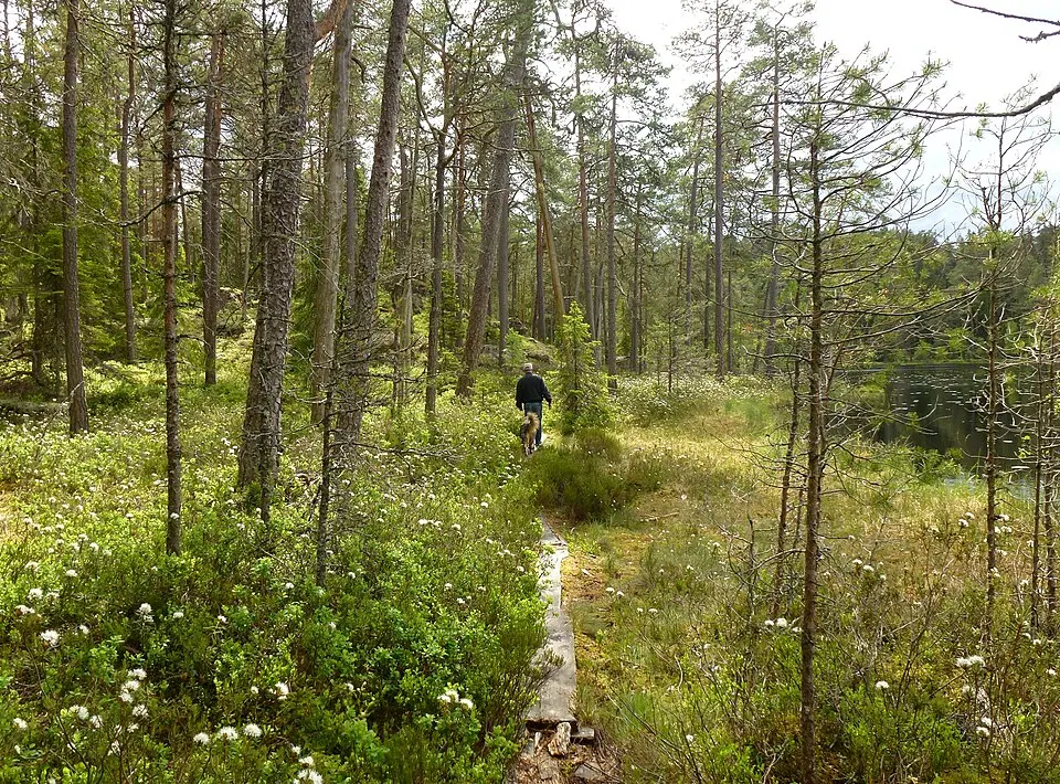 Norra Kvill National Park