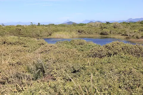 Restinga de Jurubatiba National Park