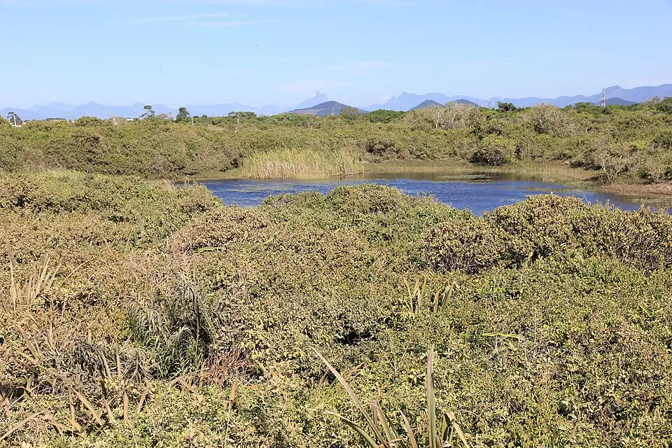 Restinga de Jurubatiba National Park