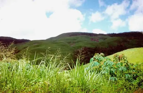 Tirgua National Park