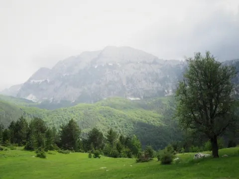 Zall-Gjoçaj National Park