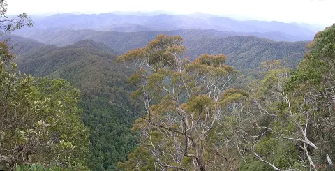 New England National Park